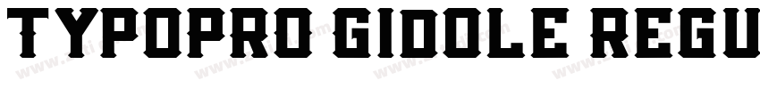 TypoPRO Gidole Regul字体转换